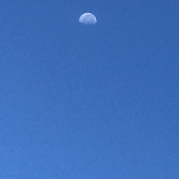 FREE!!! BLUE SKY! ONLY WHILE SUPPLIES LAST! - Picture 2 of 2